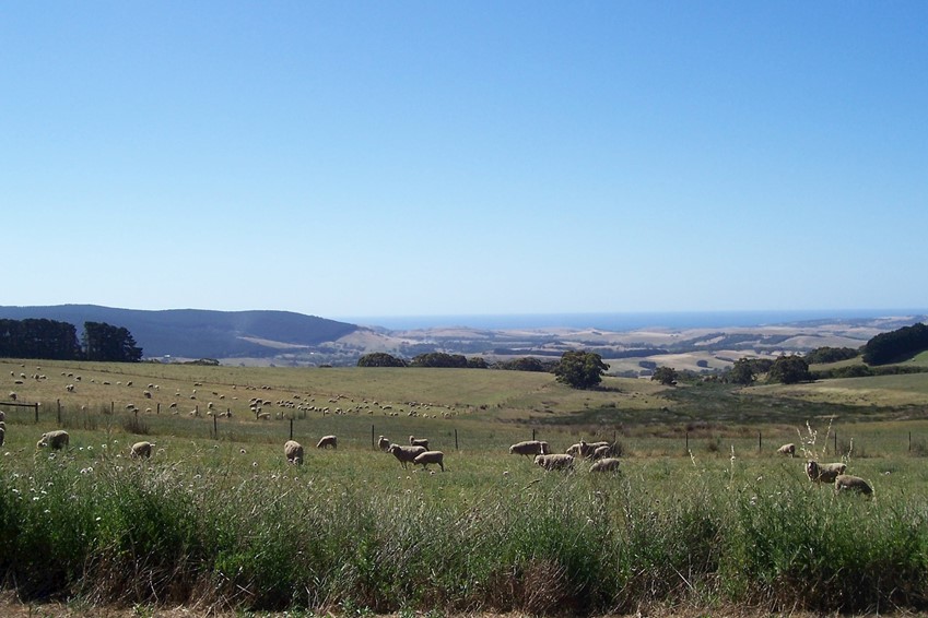 4WD Camper Fleurieu Peninsula South Australia